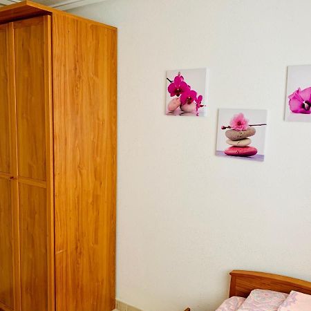 Apartamento Felix De La Fuente Торрев'єха Екстер'єр фото